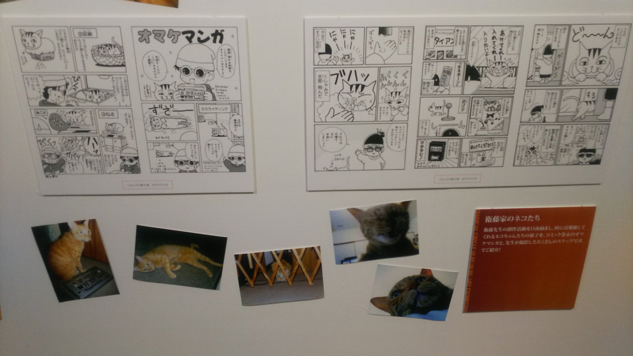 Tomomo ふぁ 好きだったおまけマンガのくどい顔のネコの写真だ 可愛い 魔法陣グルグル大原画展 Tomomo ふぁ 好きだったおまけマンガのくどい顔のネコの写真だ 可愛い 魔法陣グルグル大原画展