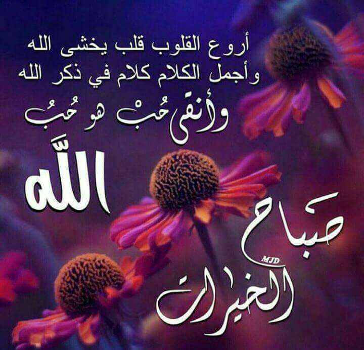safe_kassb's tweet photo. الصوت الداخلي الذي يُخبرك بما هو صحيح يأتي من الله دائما 😍
فلا تتغافل عنه 😊
صباحوووو✋ https://t.co/JrjF7WyHOp
