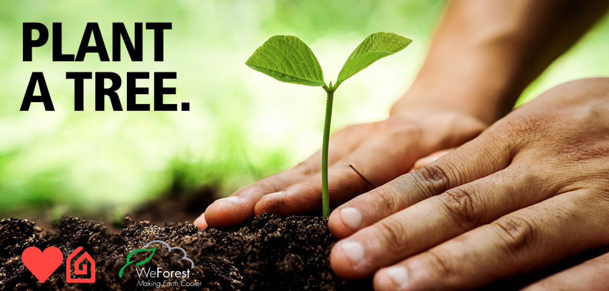 EM203Alyssa's tweet photo. Helping to reduce greenhouse gas emissions can be as easy as planting a tree one afternoon! #SpreadTheNews #EM203Mueller https://t.co/eIcCa2YmiB