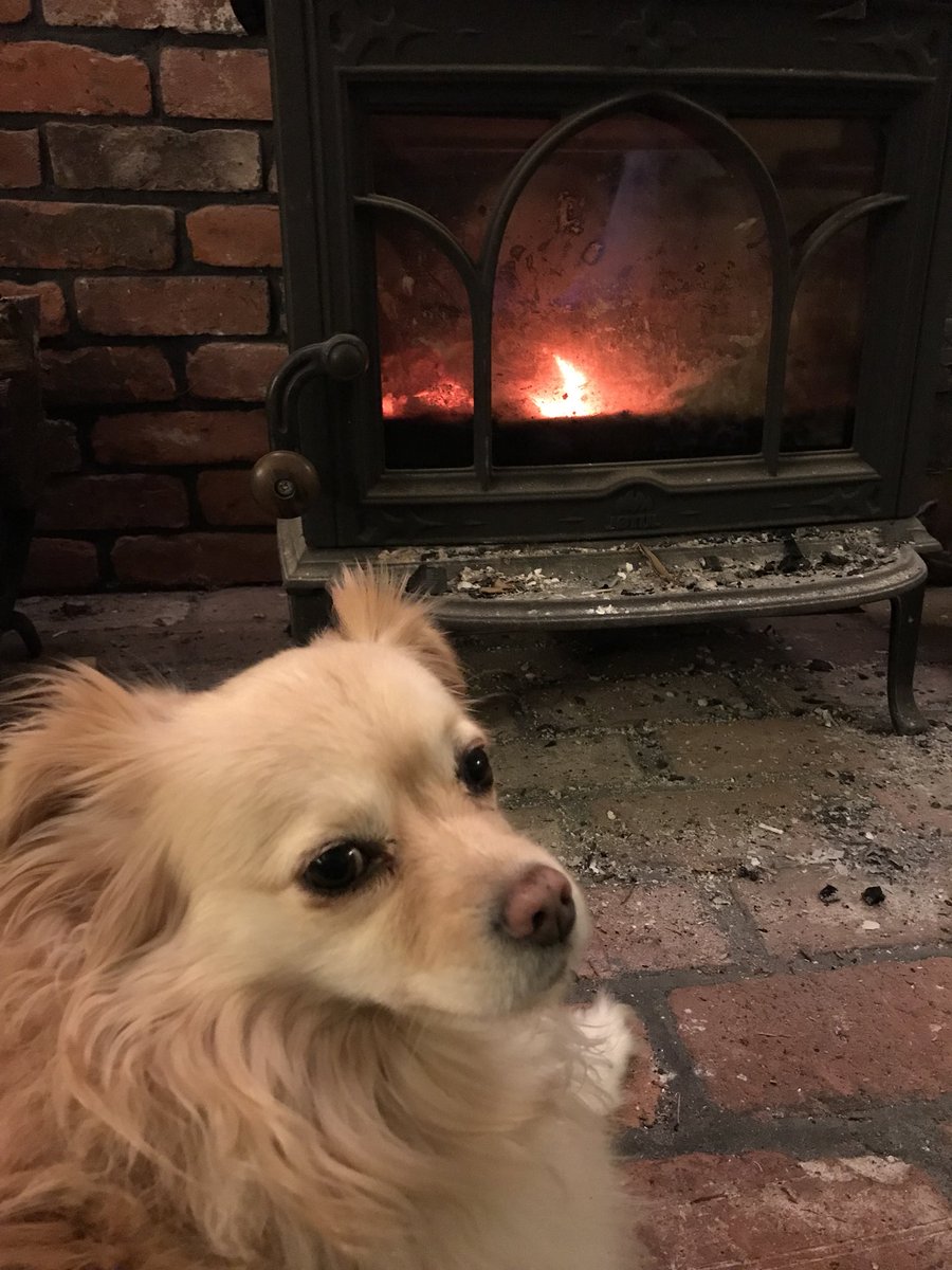 We’re closed for the holiday weekend so that we can all spend more time with our dogs and families!