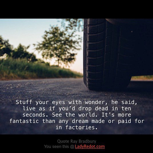 LadyRedot's tweet photo. No more dreams. See it yourself. - Travel Pulse from Ladyredot
#trip #travel #trippy #travelblog #travelblogger #quotes #travelquotes #explore #exploresolo #exploreasia #iamtb #dream #wanderlust https://t.co/kWoVm8f2K4 https://t.co/WCSjbrMPvD