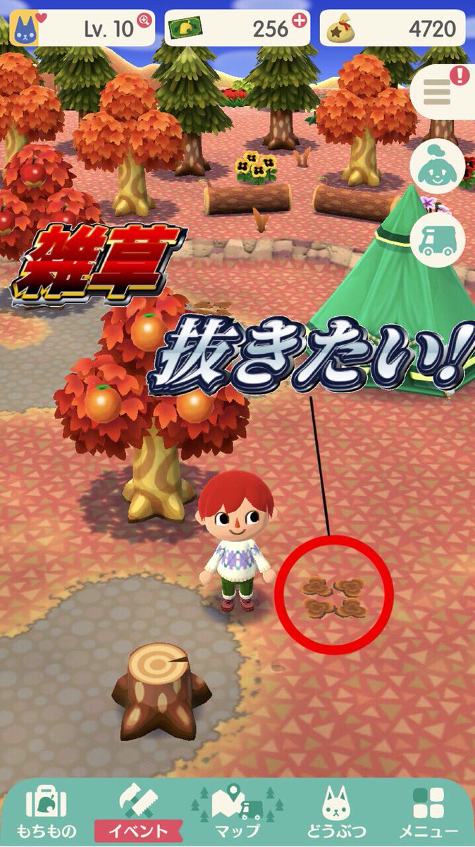 ポケットサイズの どうぶつの森 になって失ったもの Togetter
