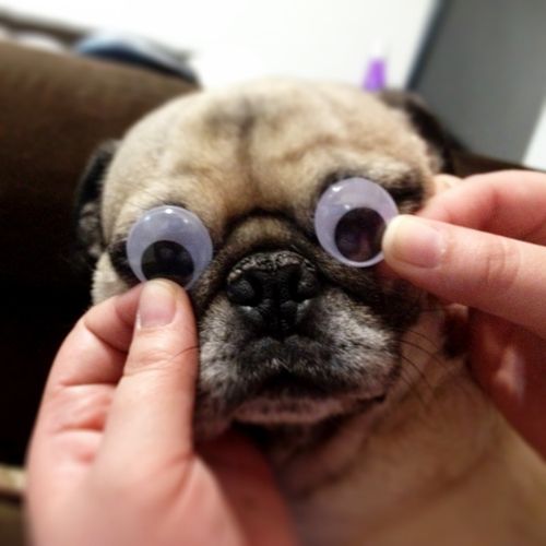  Happy Birthday wee Steve Buscemi 