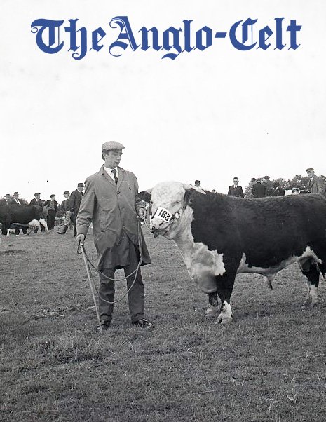 Anglo Celt Archive tweet media