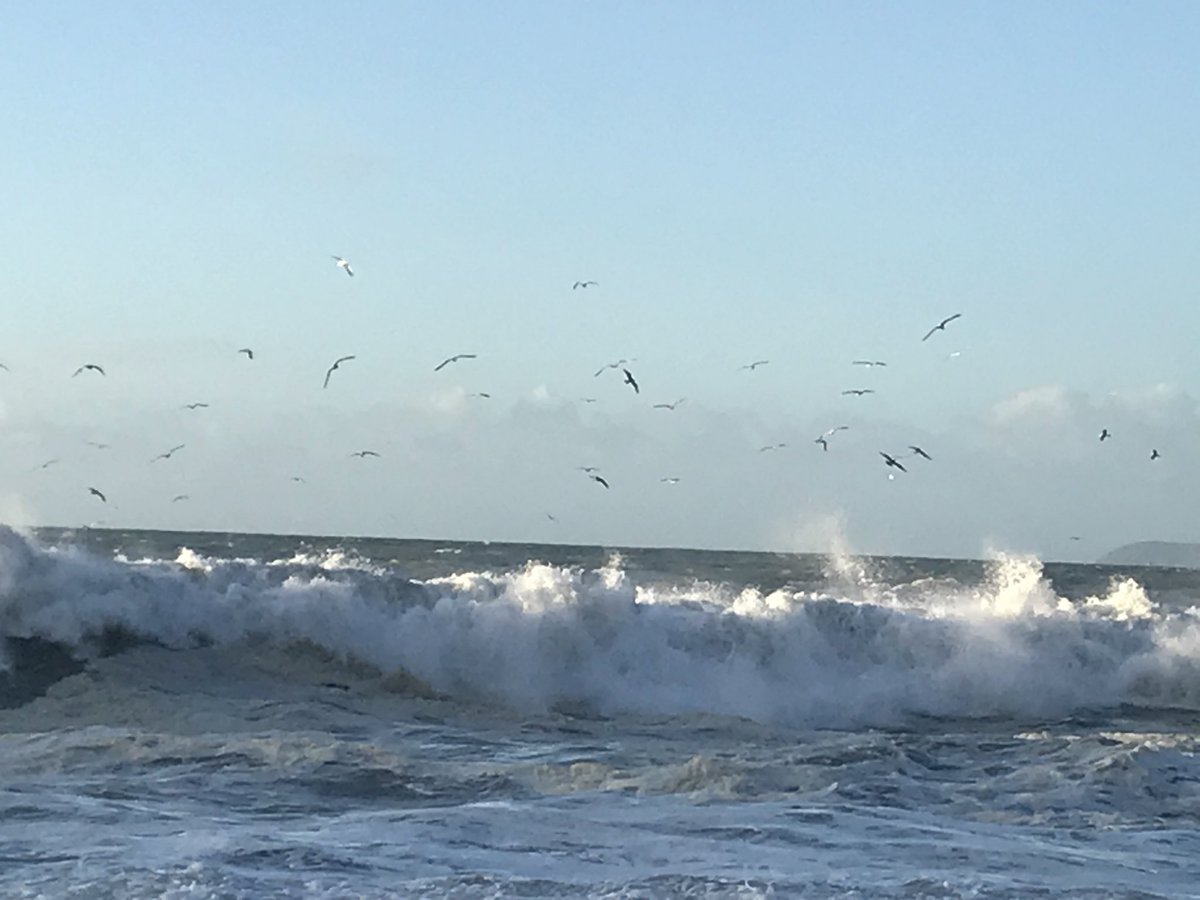 _penpoll's tweet photo. A stunning start to the day, Watching the guls surfing the waves @Lantic Bay. #Cornwall at its glorious November morning best! @TheGoodDogGuide @LoveFowey https://t.co/x2atrWKTqS