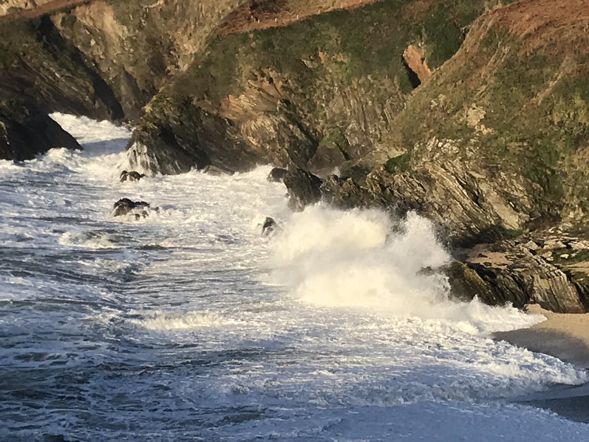 _penpoll's tweet photo. A stunning start to the day, Watching the guls surfing the waves @Lantic Bay. #Cornwall at its glorious November morning best! @TheGoodDogGuide @LoveFowey https://t.co/x2atrWKTqS