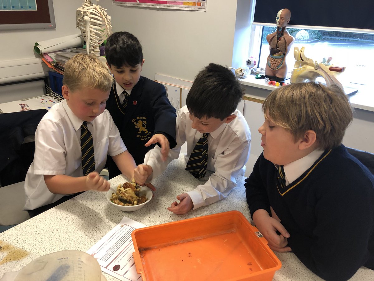 DrWallScience's tweet photo. IIA making ‘poo’ by mimicking the digestive process with real food. #GIsystem #digestion 💩 https://t.co/ni2VTHTf74
