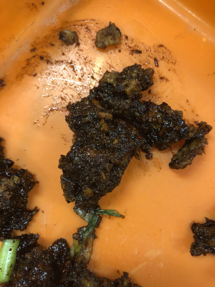 DrWallScience's tweet photo. IIA making ‘poo’ by mimicking the digestive process with real food. #GIsystem #digestion 💩 https://t.co/ni2VTHTf74