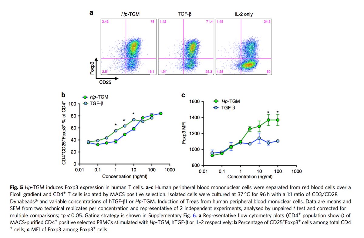 MaizelsLab's tweet photo. Out today in @NatureComms our discovery of TGM - a potent parasite derived mimic of TGFbeta. #Tregs #parasites https://t.co/HaU7UEO9YY https://t.co/BD602GLKkM