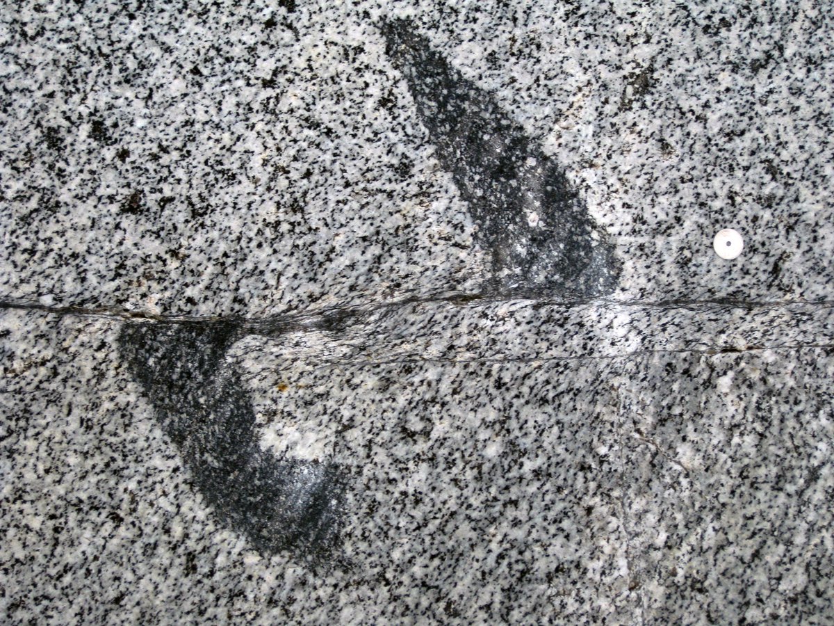 TSG_MSG2018's tweet photo. Hurry up and get those spectacular abstracts in! The deadline for abstract submission and early bird registration to #TSG_MSG2018 is tomorrow! Looking forward to welcoming @TSG_since1970 and @MSG_1981 at @EarthSciPlymUni https://t.co/sSMxTbppto