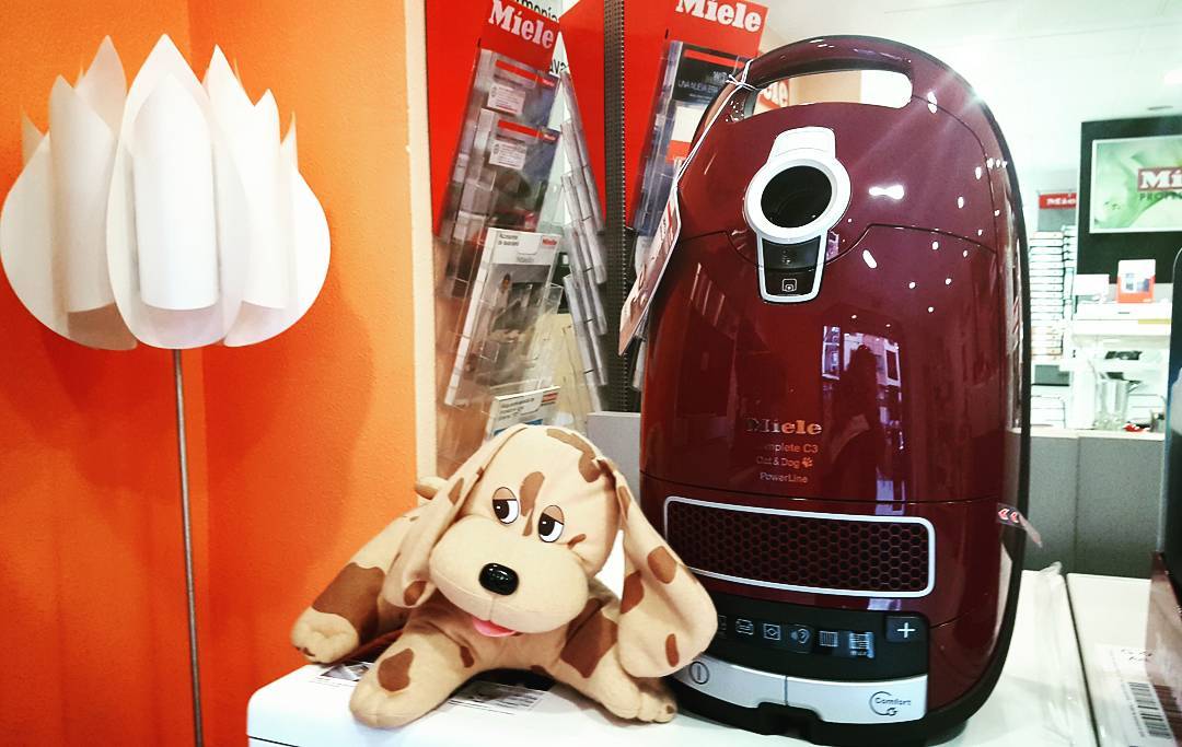 dismatecsa1's tweet photo. Sabías que Miele lleva comercializando su aspirador especial para mascotas desde hace más de 30 años??? Top de ventas en U.K. En Dismatec siempre lo tenemos en stock. Ven a ver nuestro CATandDOG https://t.co/yEImwSXGl1