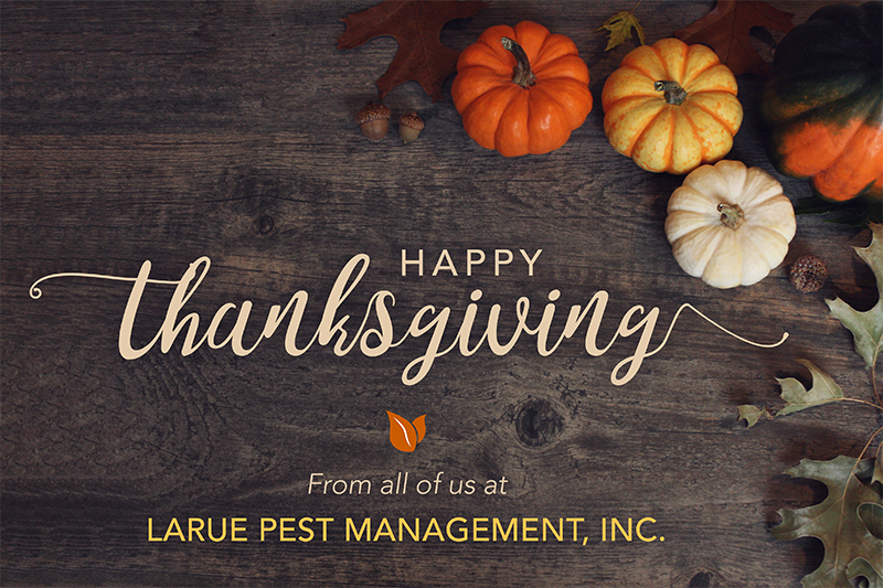 laruepest's tweet photo. HAPPY THANKSGIVING from Larue Pest Management! May your home overflow with family, food and gratitude today! #Thanksgiving2017 #SWFL https://t.co/6YpqFcxhG1
