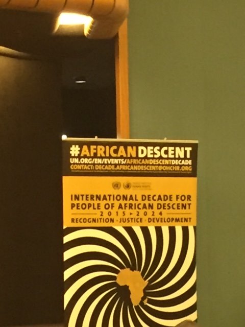 Ambassador Stevens chairs the regional meeting of the Int. Decade for People of African Descent. Opening statement was delivered by the High Commissioner of the OHCHR.