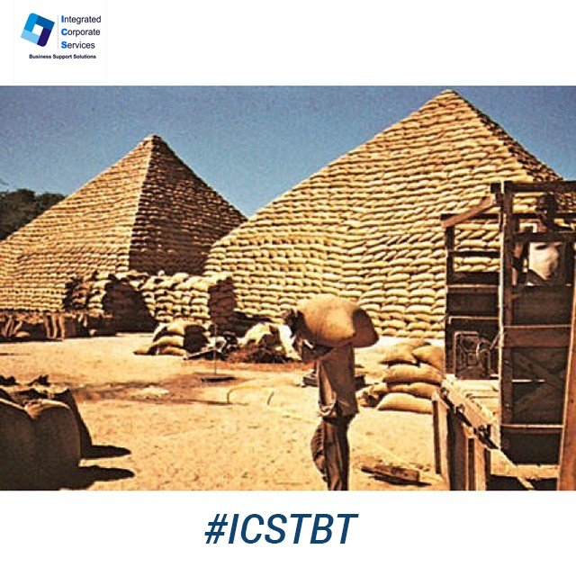 icsoutsourcing's tweet photo. Groundnut pyramids were pyramid-like structures made from groundnut sacks.
The pyramids were built in northern Nigeria in cities such as Kano, where groundnut production was a key part of the economy.
#ICSTBT https://t.co/t6ocIIDZqF