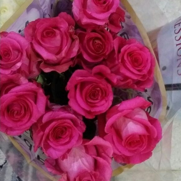 wrfr268's tweet photo. #صورة_ملف_شخصي_جديدة https://t.co/5MQIwb3eyB