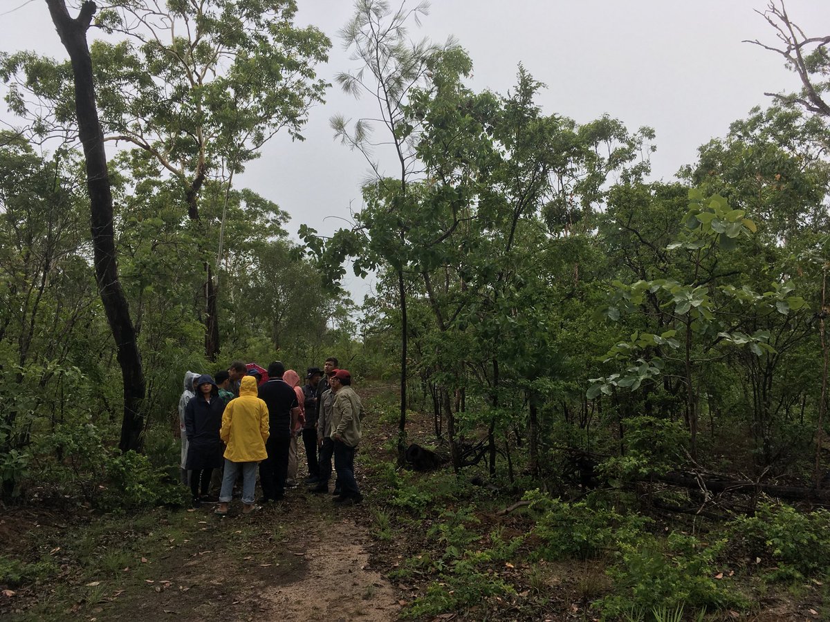 shaunlevick's tweet photo. Great day at the Territory Wildlife Park introducing the visiting Indonesian Fire Management delegation to #LiDAR #TLS #BLK360 @LeicaGeoUS @AustraliaAwards @CDUmedia https://t.co/gA2ZWGc4RP