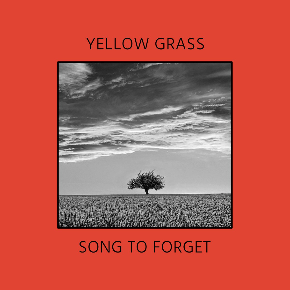 Yellow Grass tweet media