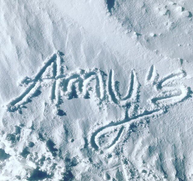Joyeux Thanksgiving à nos amis américains! Ici, on est reconnaissants pour les bons plats sans viande préparés par Amy. #amysenfrance