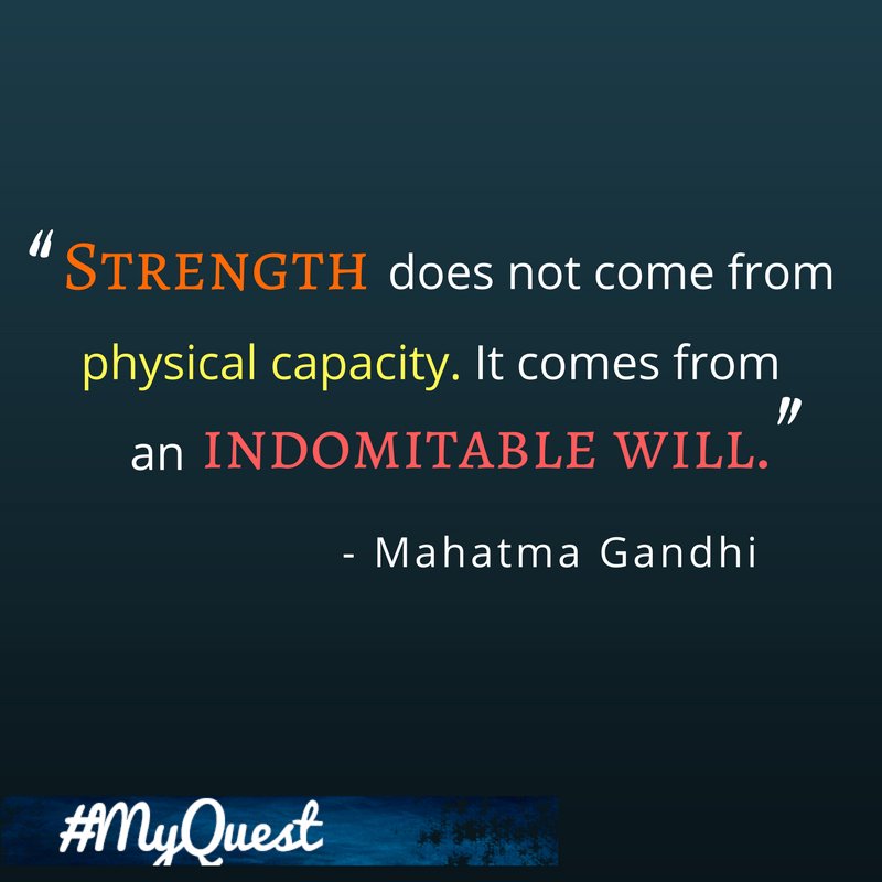 My-Quest tweet media