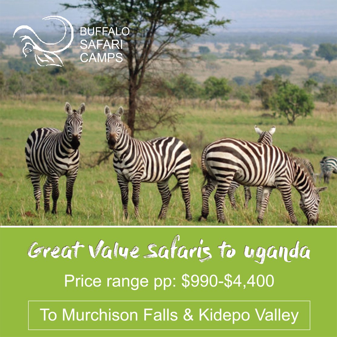activemakes's tweet photo. Do not be left out this Holiday! Great Value Safaris to Murchison Falls and Kidepo Valley National Park are here from Buffalo Safari Camps.
We are #Marketing Partners. #activemakes #tours #travel #safaris #media #innovations https://t.co/GEcvdU4mmn