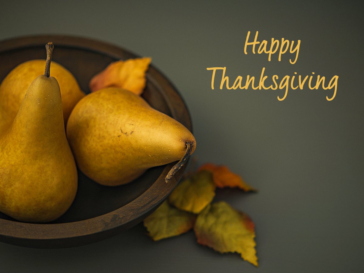 ivy_dalton's tweet photo. If you look hard enough, you?ll always find something for which to be #thankful! Happy #Thanksgiving! https://t.co/lhWGGyc2rn