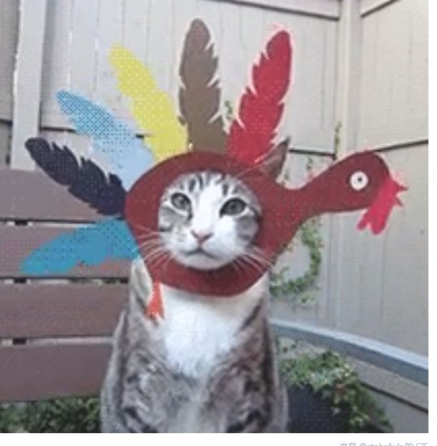 NancyRFID's tweet image. Thanksgiving all I have.
#Thanksgiving #RFID #ThanksgivingEve