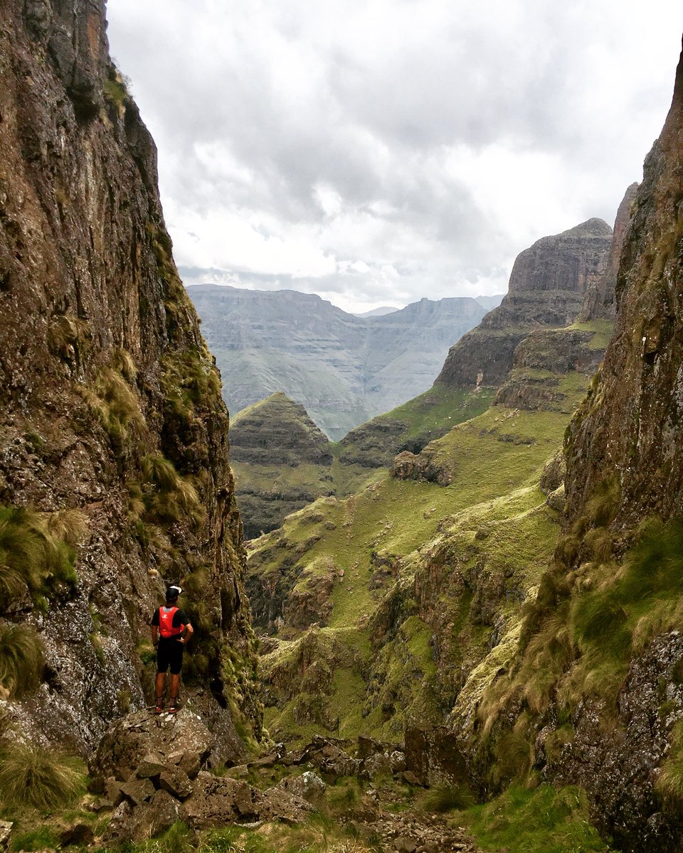 Ryno_Griesel tweet media