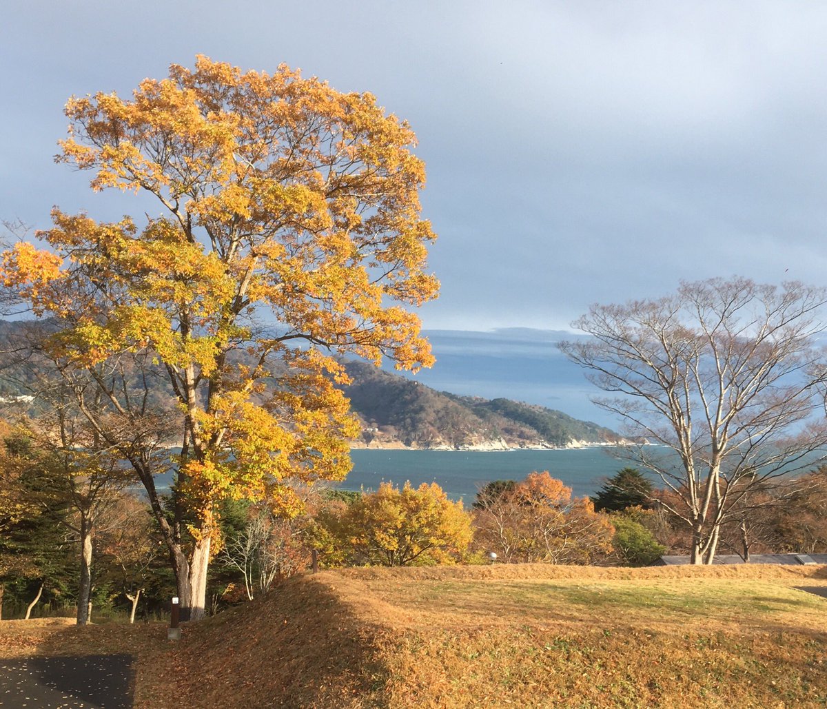 しか 家族 旅行 オート キャンプ 村 場 お