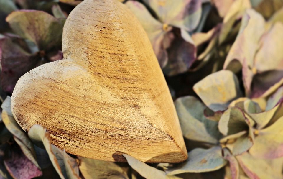 ilapothecary's tweet photo. Wishing all our friends and colleagues in Canada and the US a Happy Thanksgiving.  May your day be filled with many blessings!
#holisticskincare #spabrands #apothecary #greenbeauty #retailtherapy #gratitude #cleanbeauty #productswithpurpose #Thankfulthursday #thanksgiving2017 https://t.co/ZeKZqlaLTq