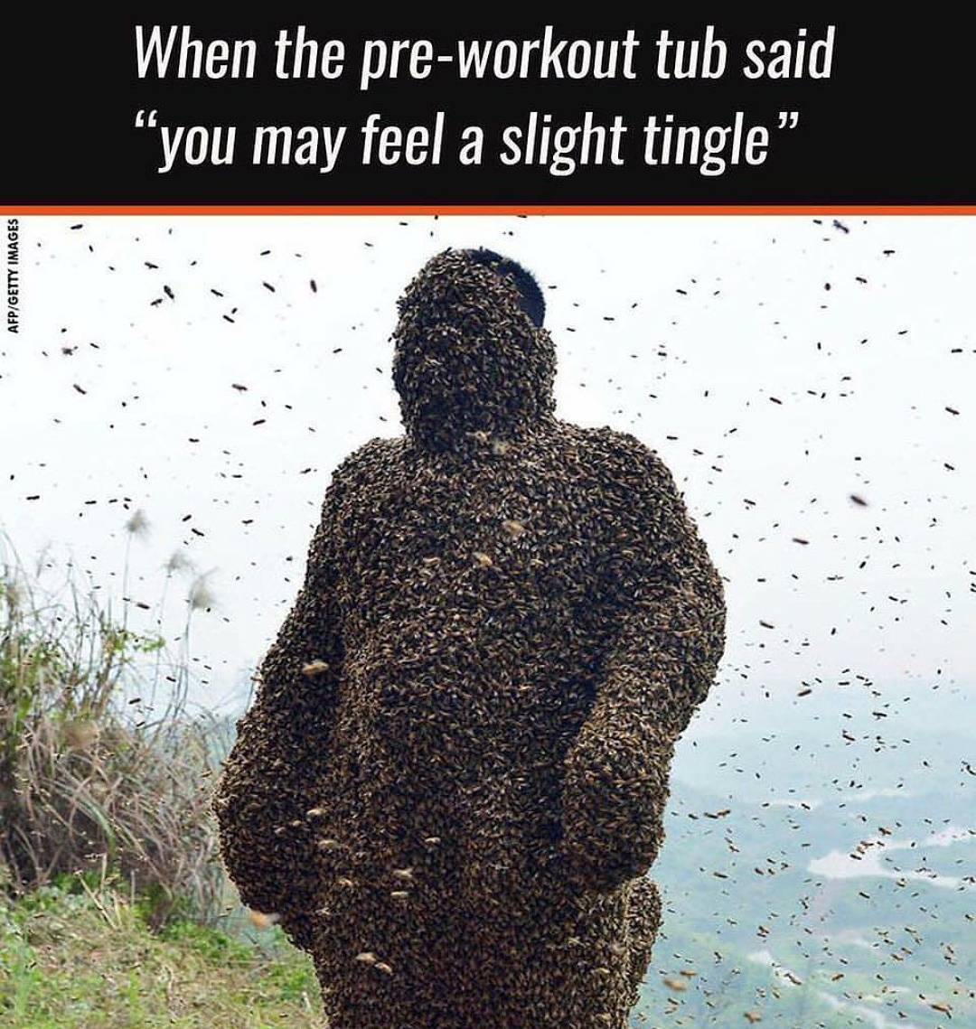 fitatfirst's tweet photo. Apt 😋😂
#fitatfirst #fit #fitness #fitfam #gym #preworkout #preworkoutmeal #betaalanine #ThursdayThoughts #workout #workhard #nopainnogain #nodaysoff #noexcuses #humour #funny #meme #flex #lifting #bodybuilder #bodybuilding #aesthetic #fitnessaddict #gymrat https://t.co/EgNk0UNHNt
