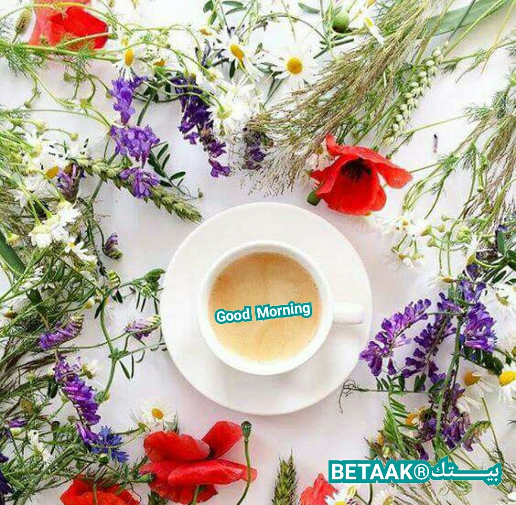 BETAAK_'s tweet photo. Good morning
#BETAAKยฎ#ุจููููููููุชู https://t.co/9XnrkCCVJk