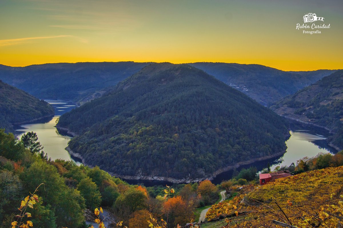 RubenCaridadgz's tweet photo. Atardecer n La Ribeira Sacra 😍 @ChantadaConcell @RibeiraSacra_ @GaliciaMaxica @TurismoGalicia1 @Turgalicia @Turvegal @SESEIXA @Galicia_Mola @Xunta @Galiciaenteira @OTempoTVG #Photography #Ribeirasacra #sunshine #galicia_enamora #Ocabodomundo #Damegalicia #Chantada #lugo #galicia https://t.co/EVcVIcl8OK