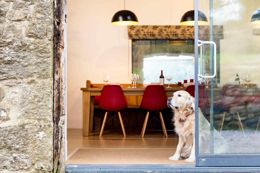 CanineCottages's tweet photo. Question: "Where should I go for my next holiday?"
Answer: https://t.co/6k7DdFtDIK 😉 

#ThursdayThoughts #DogFriendlyHoliday #DogFriendly

Pictured property: The Big Barn at Halshanger (Property code: 47237) 🏡 https://t.co/y8IYL9VJVA