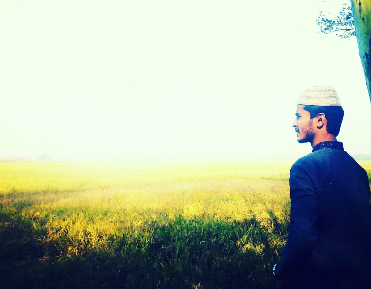 MfhAmzad's tweet photo. অগ্রহায়ণ জুড়ে থাকা সোনালী ফসলের ঘ্রান নেওয়া।ভালবাসি প্রকৃতি,উপভোগ করি তার সৌন্দর্য। https://t.co/QFfXwhpYt4