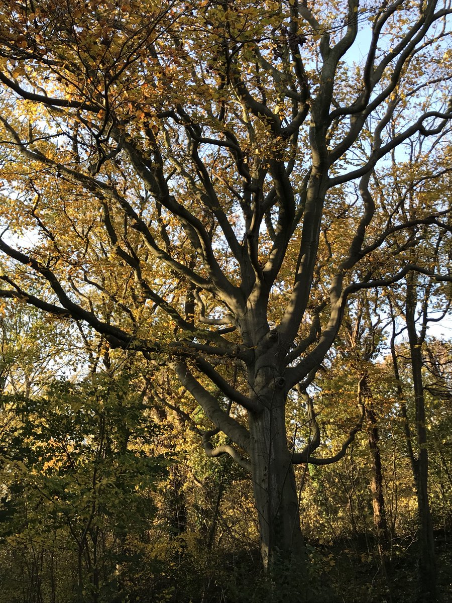 Gisteren nog heerlijk weer.