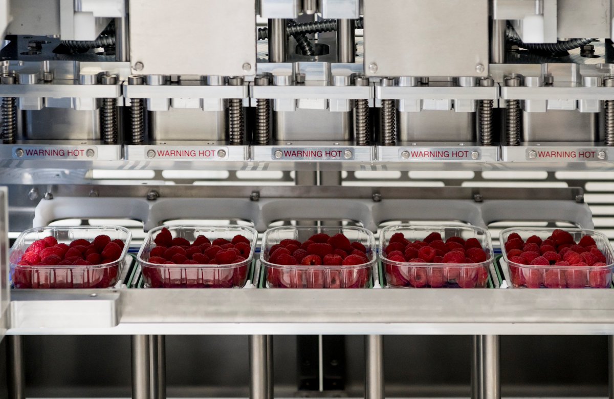 LBPRot's tweet image. it's running - why not ask for more details  about our TOP SEAL options for Berries and Grapes afi@lbp.net