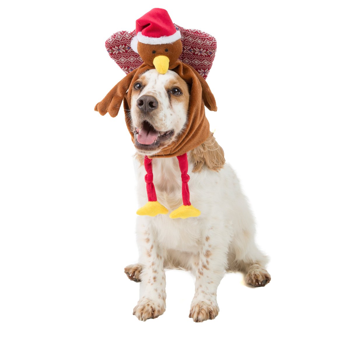 petsukofficial's tweet photo. Happy #Thanksgiving to all of our American friends 😀 https://t.co/Lq2ZlpILVI