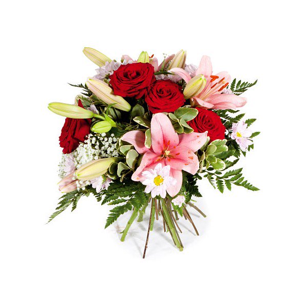 Descubre nuestros bouquets... sorprende #FloristeriaLaOrquidea
floristerialaorquidea.es/benidorm/6-bou…