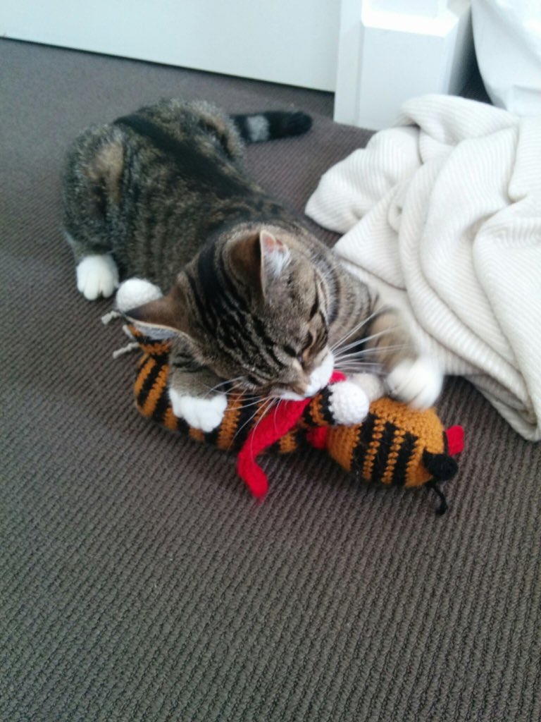 HobbesTweets's tweet photo. @nzsecretsanta My hobbes toy was and is still my favourite #nzsecretsanta #2017question4 https://t.co/LBU1iQIdWk