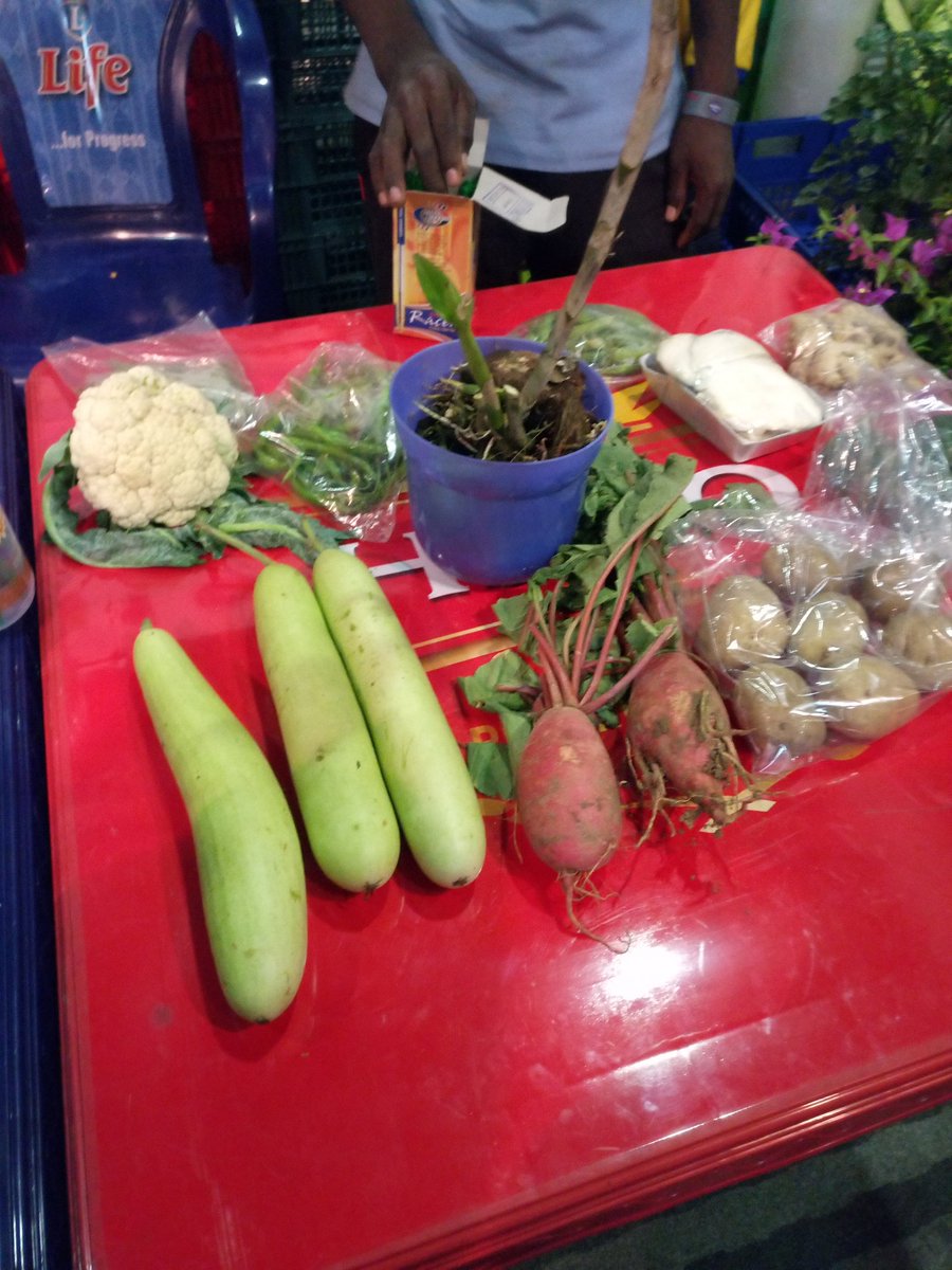 IsraellySFarms's tweet photo. Fresh produce #AgraInnovate https://t.co/dKv7uHs6dr