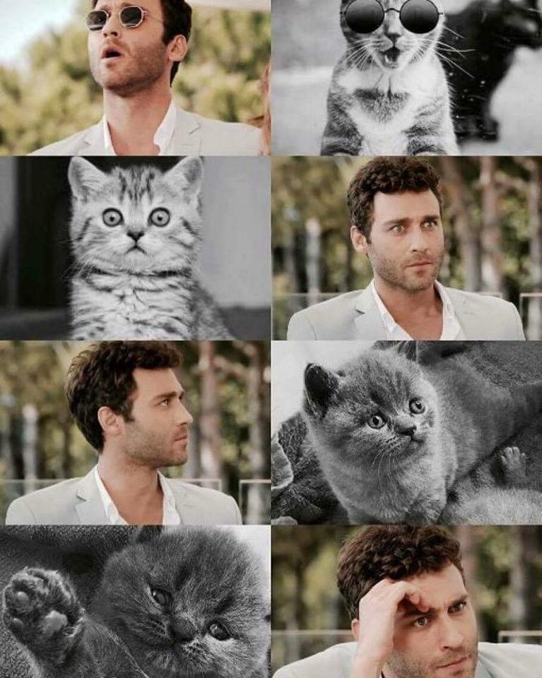 LorellaSindoni's tweet photo. Adoro le sue espressioni buffe #seckinoezdemir #BarisBey #Atesbocegi @SeckinOzdemir
il 🔝👊 #EspressioniBuffe https://t.co/tURD8PR4PV