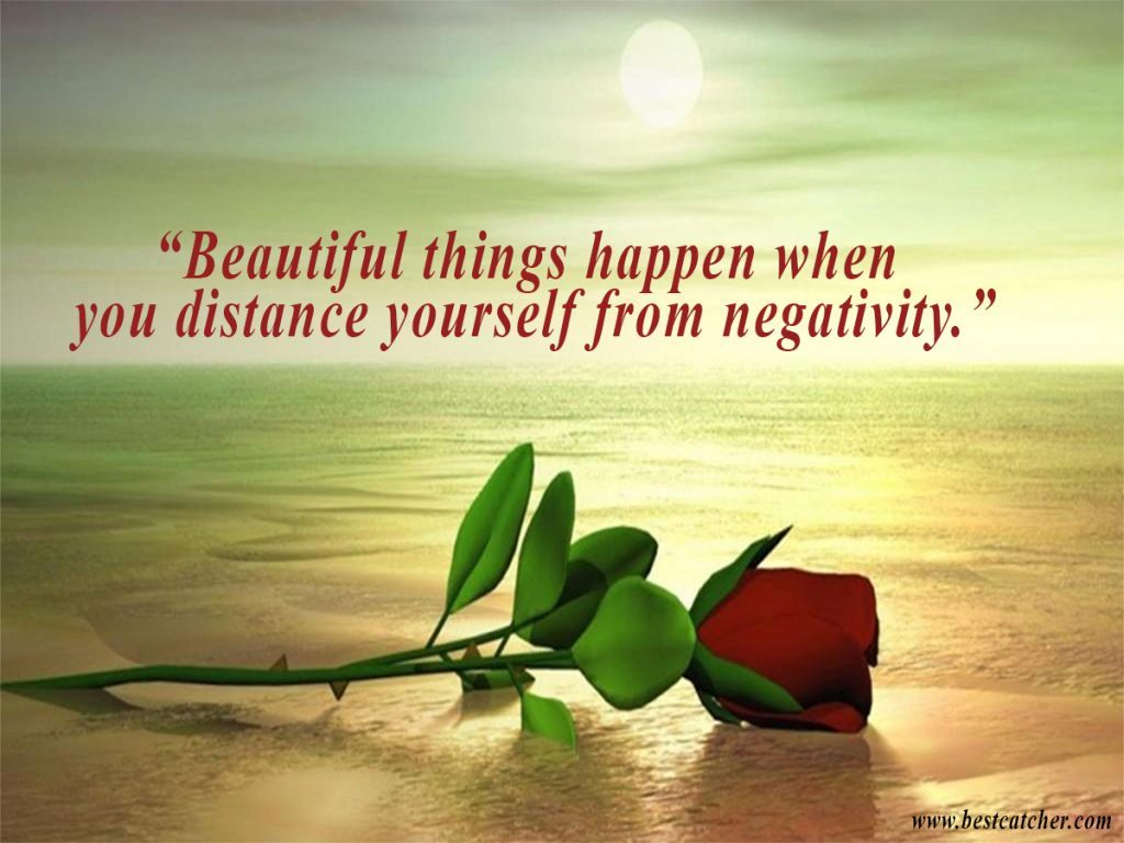 bestcatcher101's tweet photo. Beautiful things happen when you distance yourself from negativity https://t.co/Rt2FkPIz4t https://t.co/zsNVrZMVBP