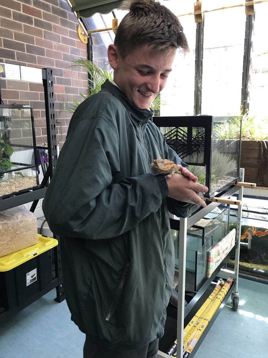 Concord_HS_NSW's tweet photo. Dedicated and passionate students caring for many of the animals housed in the science common @Concord_HS_NSW #beardeddragon #axolotl #stimsonpython #broadtailedgecko https://t.co/LcIz2WO776
