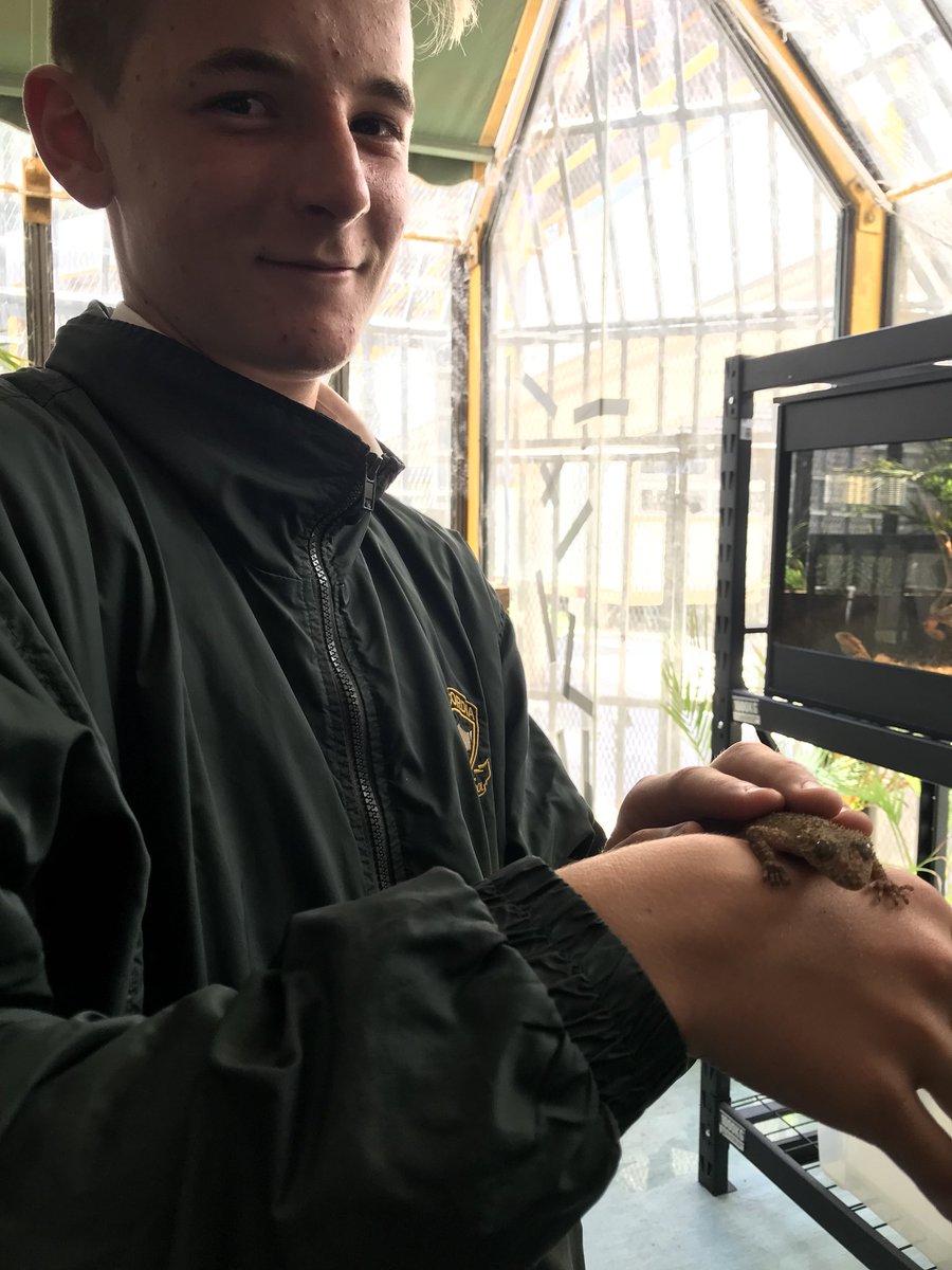 Concord_HS_NSW's tweet photo. Dedicated and passionate students caring for many of the animals housed in the science common @Concord_HS_NSW #beardeddragon #axolotl #stimsonpython #broadtailedgecko https://t.co/LcIz2WO776