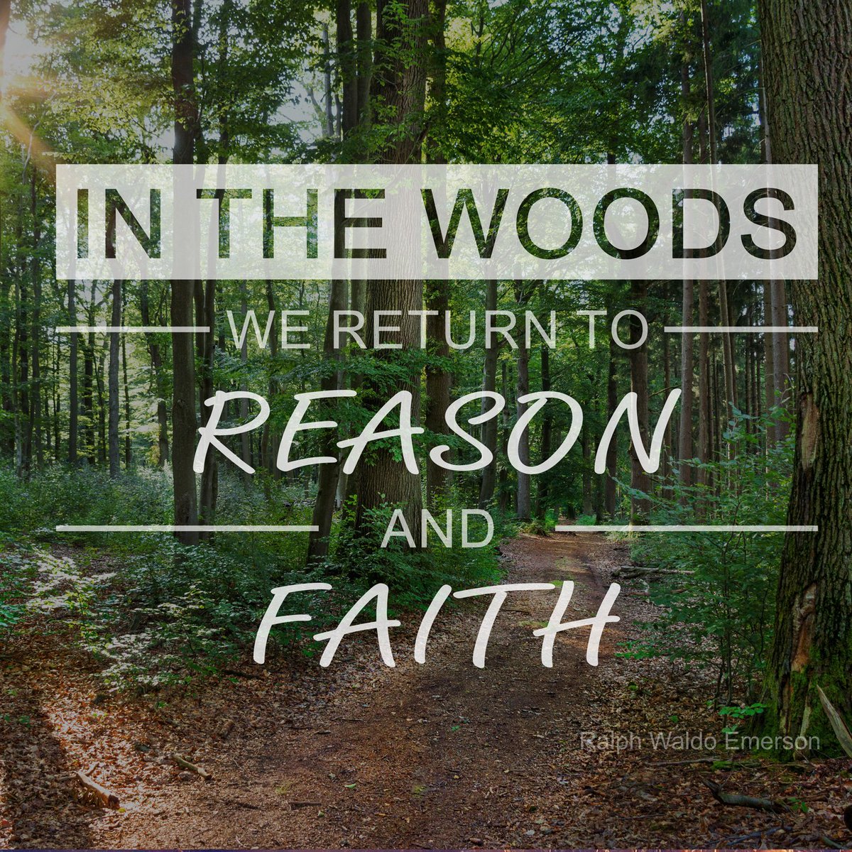 BackTrailDecor's tweet photo. We can always use more reason and faith!
https://t.co/5zX1GLsrTK
 #quoteoftheday #quotes https://t.co/nT4QE2G77e