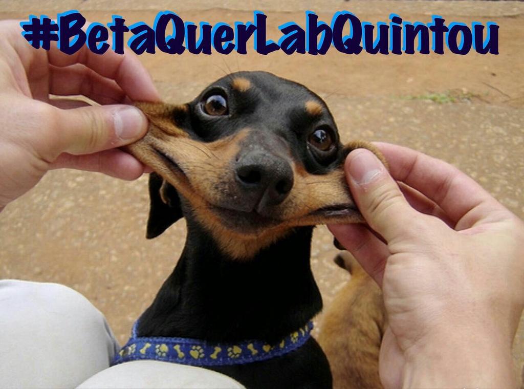 Bom Dia!
#BetaQuerLab
Se vamos ter rugas..que seja de tanto sorrir...boraaaa acalma o coração..Deus está no comando 🙏
#BetaQuerLabQuintou