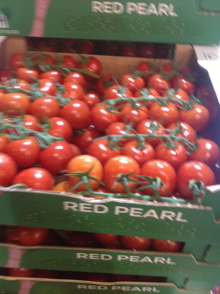 patolojik dava tembel salkim domates kg fiyati gozdendergi com