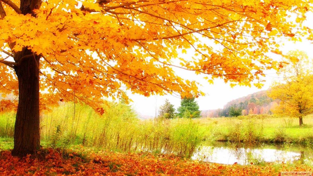 Günün Fotoğrafı / Picture Of The Day
 
#GününFotoğrafı #PictureOfTheDay #Sonbahar #Ağaç #Yaprak #Göl #Doğa #Manzara #HDResim #Autumn #Tree #Leafs #Lake