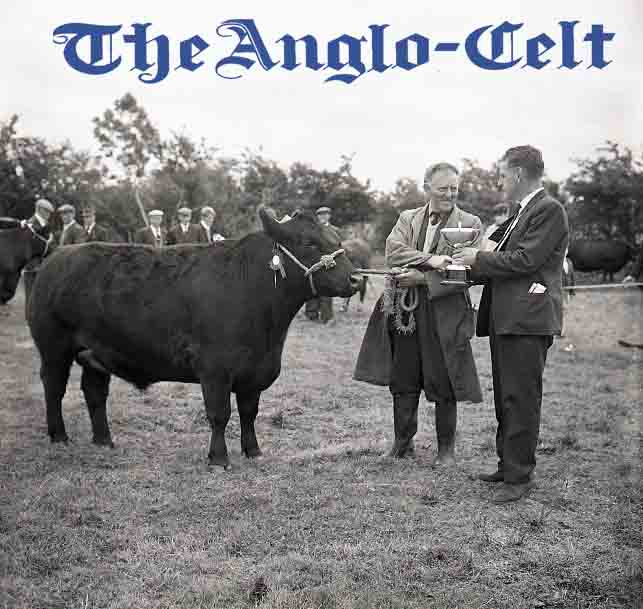 Anglo Celt Archive tweet media