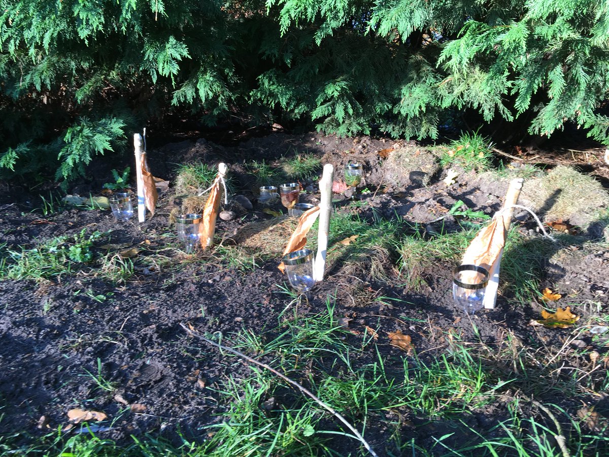 NicolaMW_Artist's tweet photo. Wands left by the Wizards of the Woods for #ForestSchool. Inspired by @NorfolkLibs #KingsLynn #wandworkshop @britishlibrary #HarryPotter https://t.co/u6C3qbSyzG